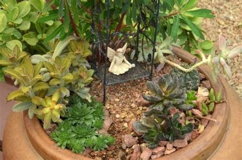Container Ideas Miniature Succulent Fairy Gardens Birds And Blooms