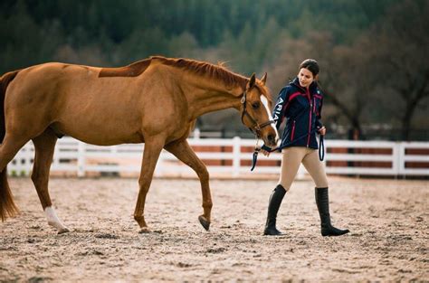 9 Best Horse Riding Boots Farm House Tack