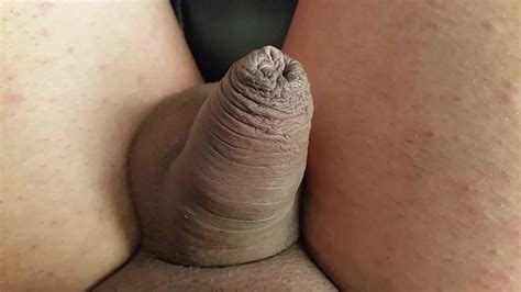 Soft Erect Penis Cock