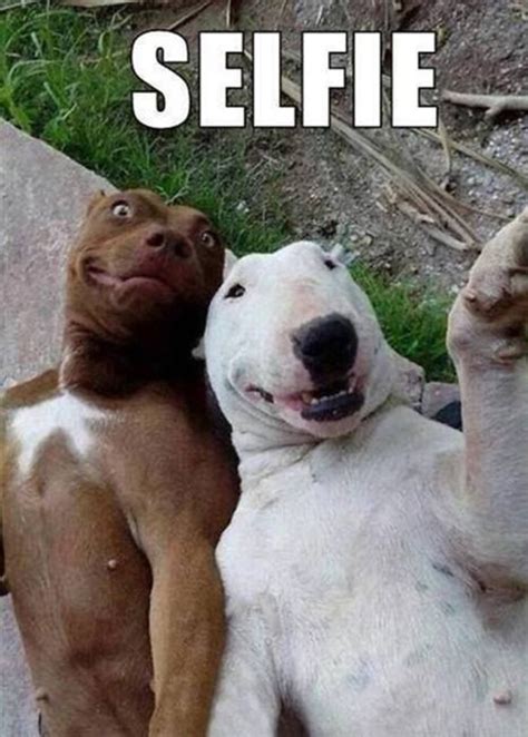 30 Very Funny Selfie Pictures