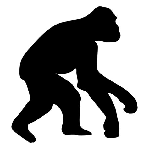 Human Evolution Png Designs For T Shirt And Merch
