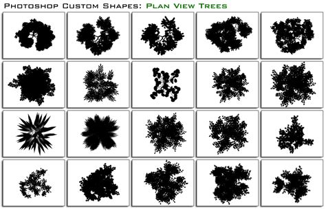 Psddude resources brushes 37135 5/9/2011 2:11:37 am 5/9/2018 12:00:00 am. Plan Trees by thesuper on DeviantArt