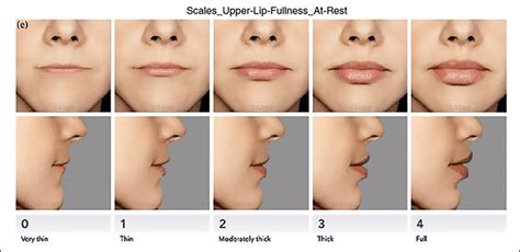 Lips Size Chart A Complete Guide Size When Size Matters