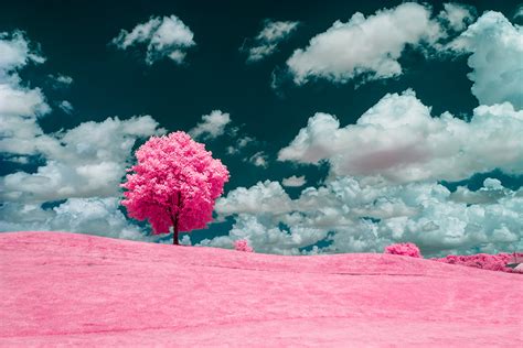 Infrared Photography Getting More Color From Your 720nm Filter