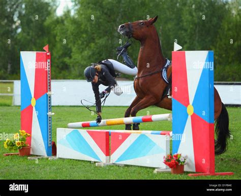 Rider Falling From Her Horse Into The Obstacle While Taking Part In The