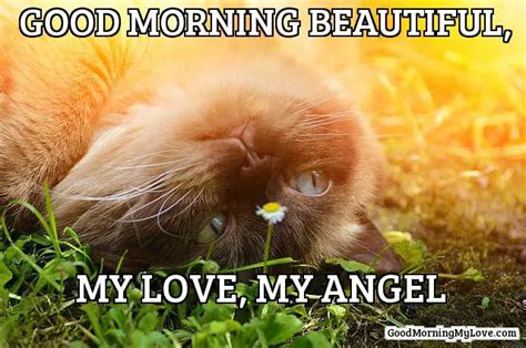 32 Good Morning Memes For Her Him And Friends Funny And Beautiful