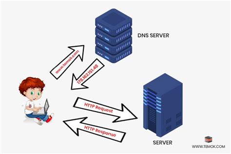 How Do Servers Work And What Are Their Major Components Temok