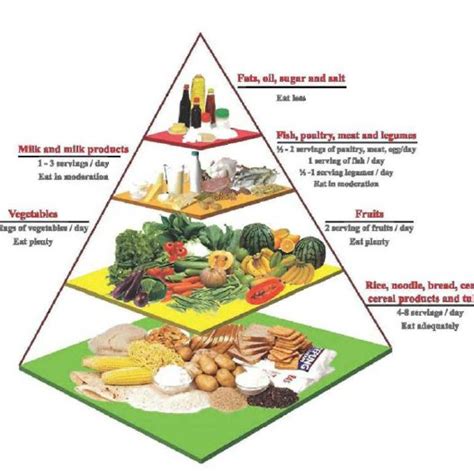 Malaysian food is heavily influenced by thai, chinese, indonesian and indian cuisine. The Malaysian food pyramid | Download Scientific Diagram