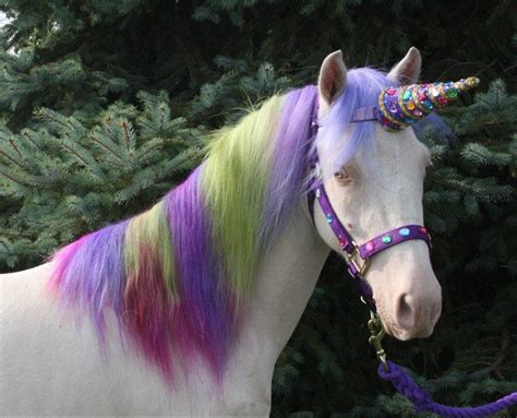 A Picture Horses Horse Love Unicorn And Glitter