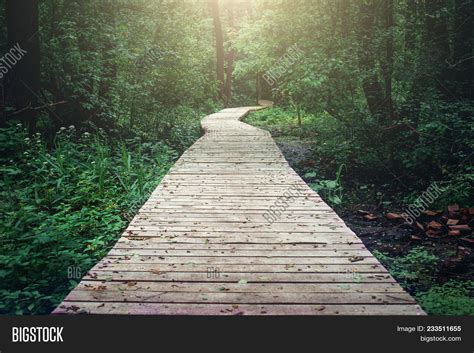 Wooden Pathway Through Image And Photo Free Trial Bigstock