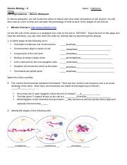 What exactly happens during mitosis and meiosis? mitosis internet lesson - Name Mitosis-\u2014 Internet Lesson 1 In this internet lesson you will ...