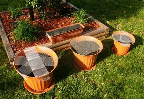 Container Vegetable Gardening Raised Beds Pots