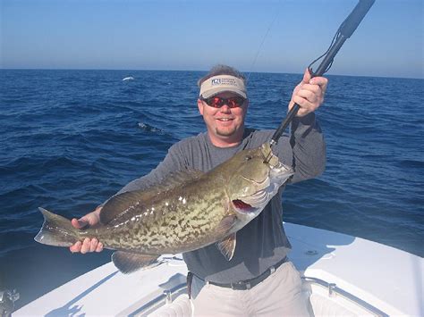 Charleston South Carolina Fishing Charters All About Fishing