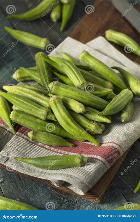 Raw Green Organic Okra Harvest Stock Photo Image Of Seed Ladyfinger