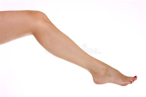 Woman S Leg Stock Photo Image Of Body Naked Elegant 8677638