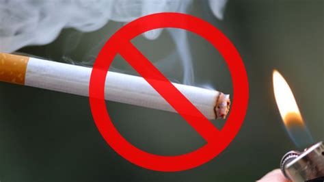 czech smoking ban favored by large majority