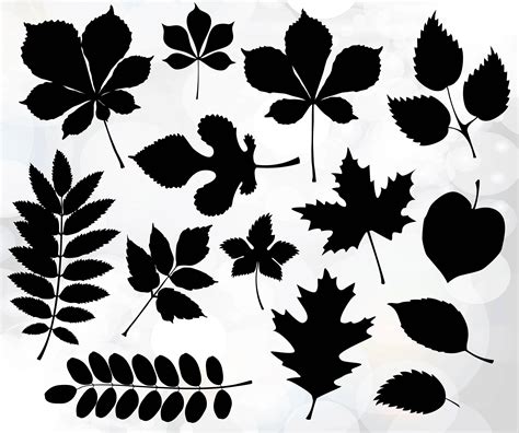 Autumn Leaves Collection Leaf svg files instant download | Etsy