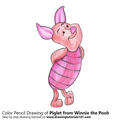 Piglet From Winnie The Pooh Colored Pencils Drawing Piglet From