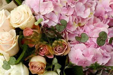 Stunning Roses And Hydrangeas Flower Show Spring Flowers Flowers