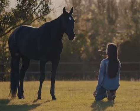 Black Beauty Rides Again As Disney Shares New Trailer Families Online