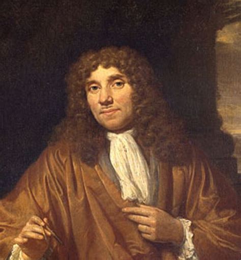 Von Leeuwenhoek Portrait