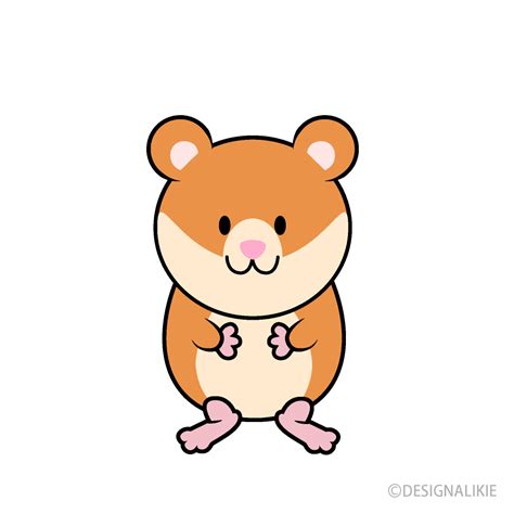 Cute Hamster Clip Art Free Png Image｜illustoon