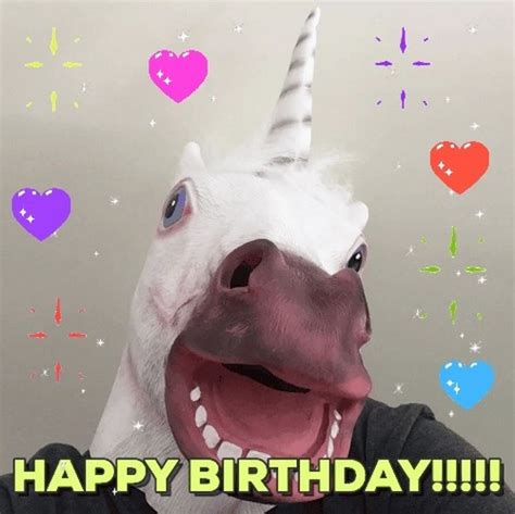 15 Fantastic Unicorn Birthday Memes That Will Make Them Happy Best