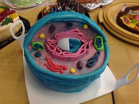 Animal Cell Cake Edible Cell Project Plant Cell Proje