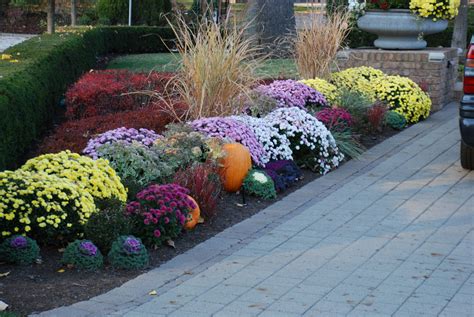 Image Result For Annual Plants Beds Thanksgiving Annual Plants Patio