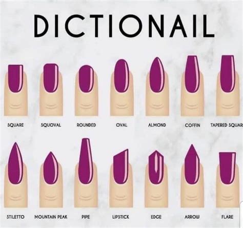 dictionail a guide to nail shapes and their names types of nails shapes acrylic nail