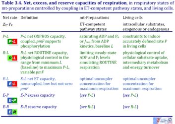 Ep,m5 emergency lighting editable form : Ep,M5 Emergency Lighting Editable Form : Operation And ...