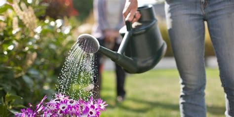 How Gardening Can Boost Mental Health