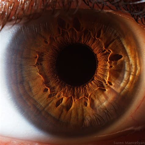 Your Beautiful Eyes Amazing Close Up Photos Of Human Eyes By Suren