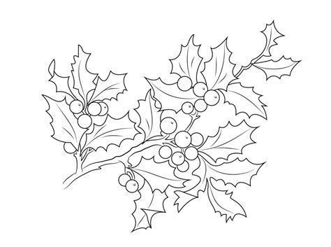 Christmas Holly Coloring Pages Christmas Plants Christmas Makes