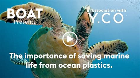 The Importance Of Saving Marine Life From Ocean Plastics Youtube