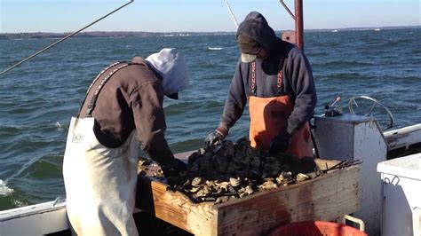 Dredging For Oysters On The Rappahannock River Youtube
