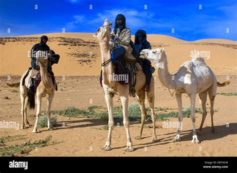 Tuaregs Riding Camels Libyan Arab Jamahiriya Libyan Desert Stock