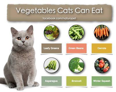 Use our sample 'foods cats can eat.' read it or download it for free. http://naturopet.blogspot.ca/2013/06/vegetables-your-cat ...