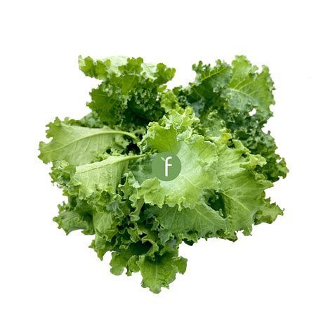Nama Lain Sayur Kale Carl May