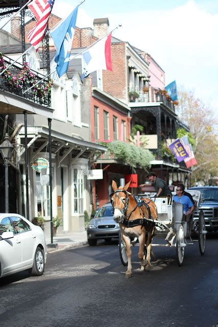 Enjoying New Orleans From A Fresh Perspective Old Town Home