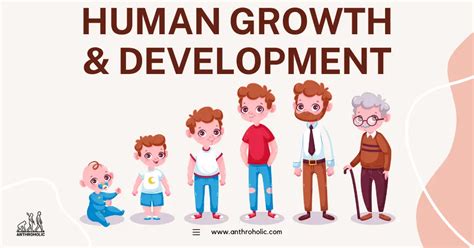 Human Growth And Development In Anthropology Anthroholic