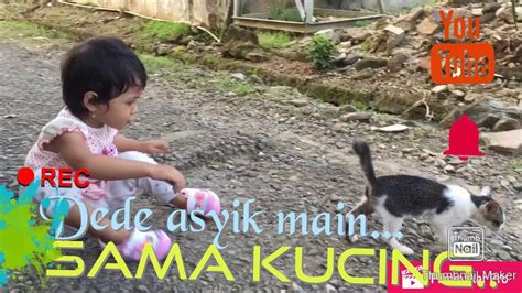 Dede Asyik Main Sama Kucing Youtube