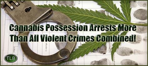 Cannabis Possession Arrests More Than All Violent Crimes Combined The