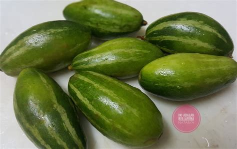 Dilansir dari brilio.net, berikut kami telah merangkum beberapa resep masakan sayur yang bisa. Resepi Kari Ikan Dengan Sayur Potol | Ini Adalah Bellarina ...
