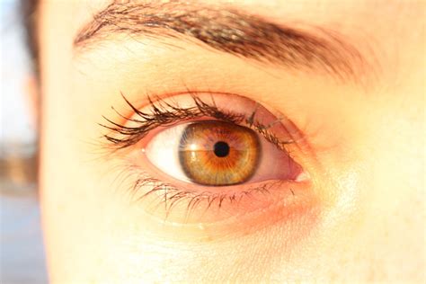 Pin De Zaazaae Em Yeux Olhos Bonitos Olhos Desenho Cores De Olhos