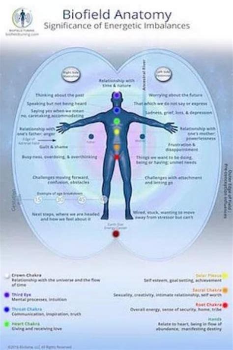 Biofield Tuning Healing With Vibrational Sound Therapy Nexus Newsfeed