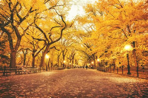 Check spelling or type a new query. Otoño : Wallpaper / Calendario de cursos · vacaciones de ...