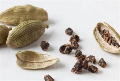 What Are The Health Benefits Of Cardamom Pt Tamba Sanjiwani