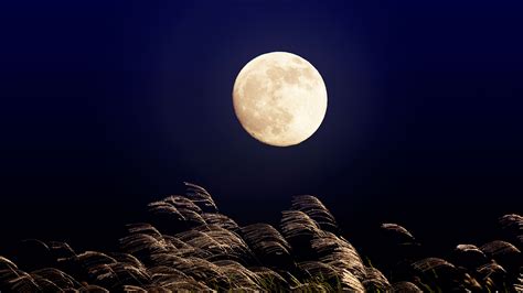 Japanese Moon Bing Wallpaper Download