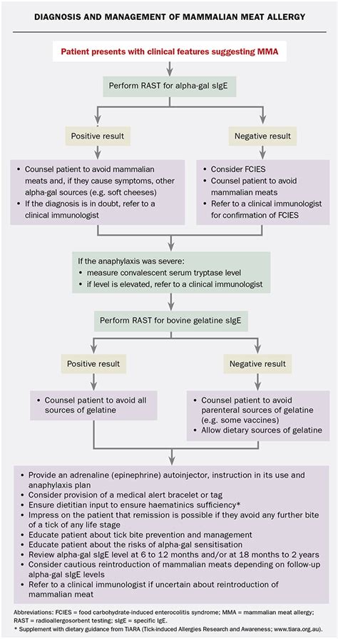 Managing Mammalian Meat Allergy And Tick Anaphylaxis Medicine Today